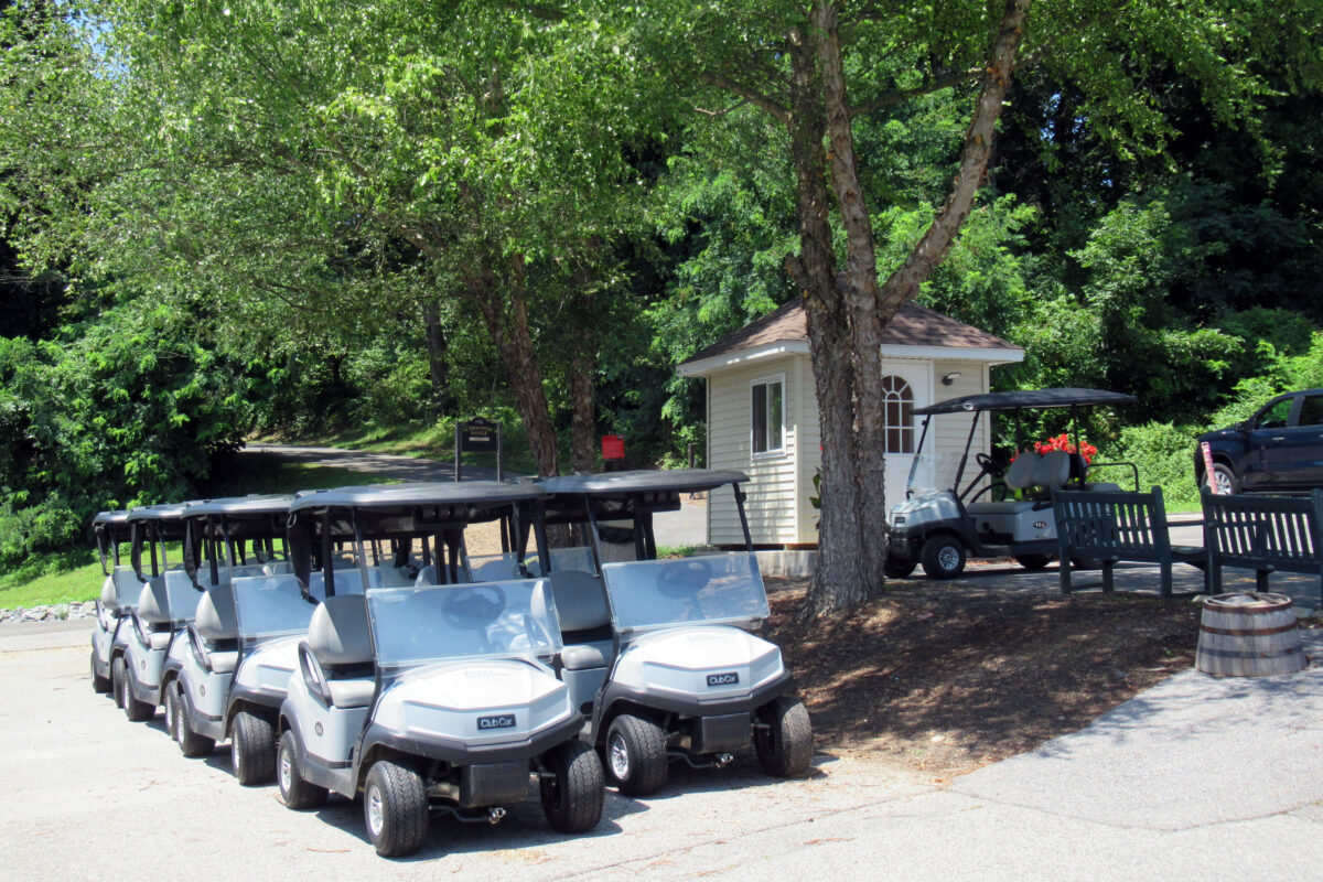 Six identical golf carts parked tightly together in the shade of a tree. Behind them is a small structure like a guard-house or tollbooth, with a seventh golf cart parked near it.