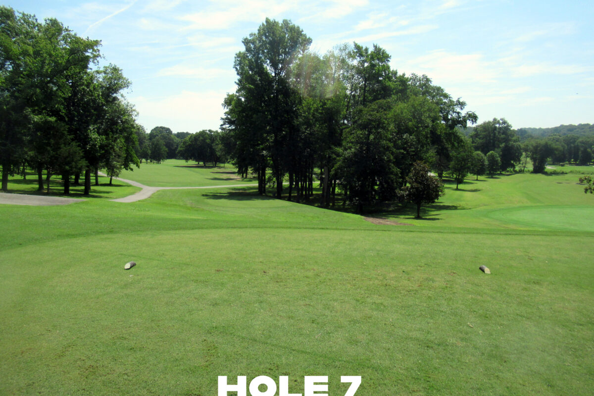 A view from a flat, level green down grassy slopes with a small cluster of trees in the middle. In the distance, a paved path forks into a Y. The words HOLE 7 are superimposed on the photo.
