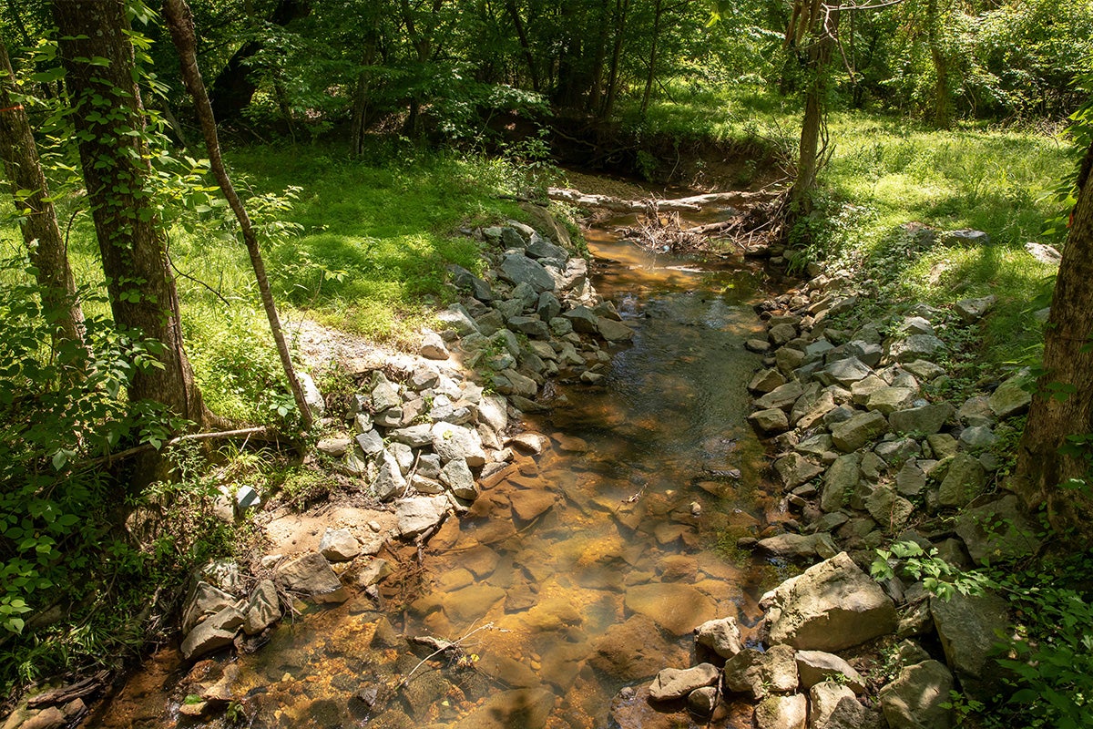 A shallow, narrow creek runs along a rocky bed in a shady area. The water is clear, offering a view of the entire bottom of the creek bed.
