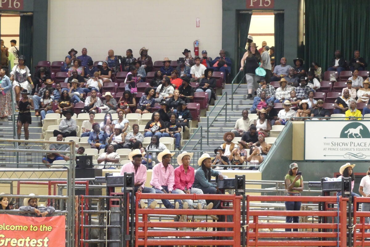 Competitors wearing cowboy hats sitting on top of the red bucking chutes above the arena floor with spectators seated behind.