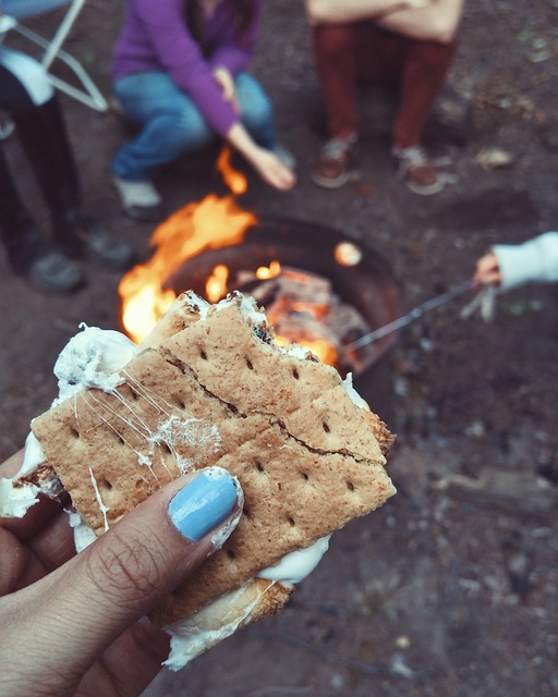 smores by the campfire