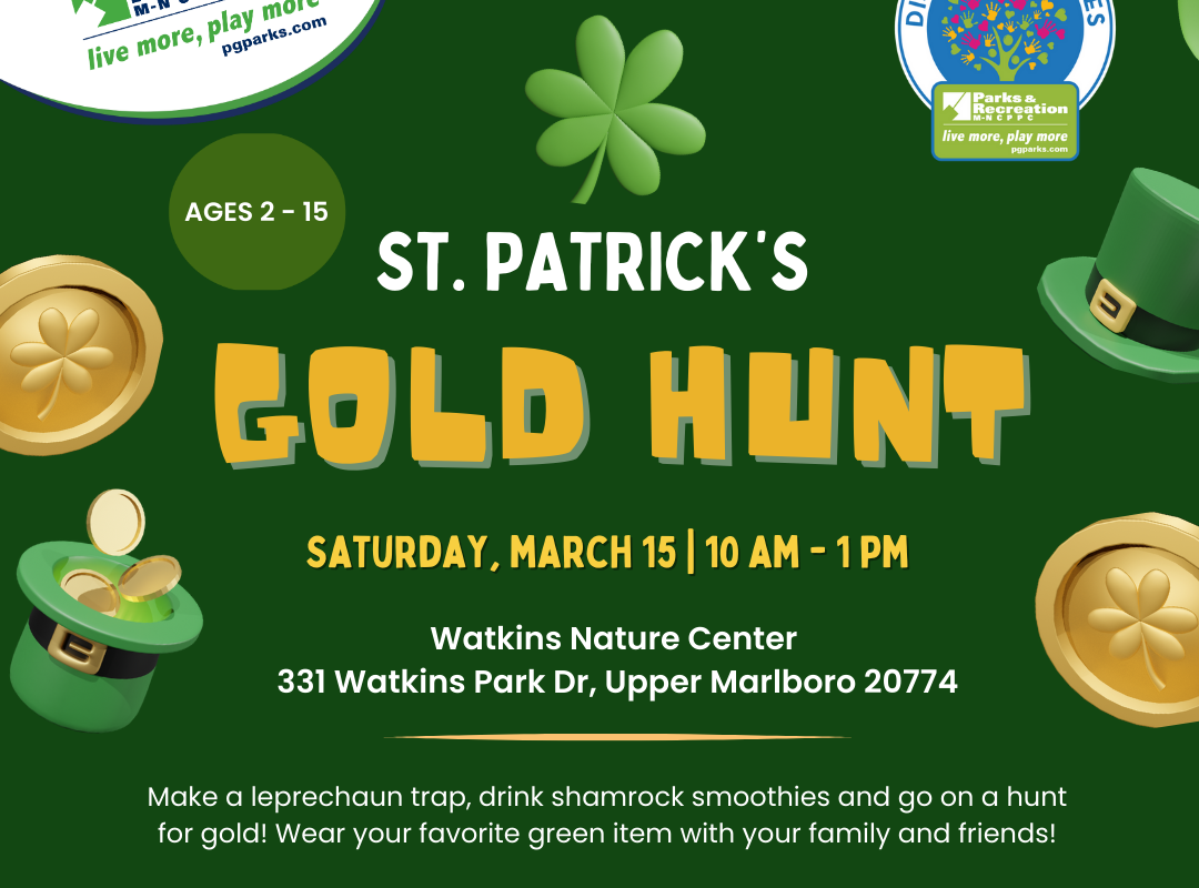 St Patricks Day Gold Hunt PLAY web flyer