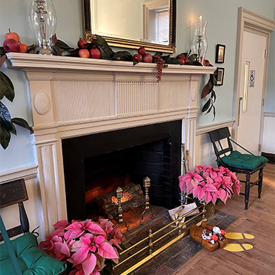 A fireplace with pink flowers in front