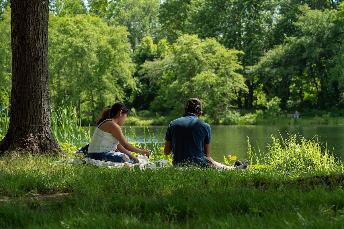 A man and a woman sit on a blanket on the grassy bank of a lake, having a picnic. They are under the shade of several tall trees; across the water are more trees.