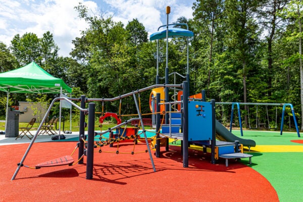 A colorful outdoor playground featuring swings, slides, rope webs, platforms, stairs, interactive toys, and more. Beyond the edge of the playground are tall trees.