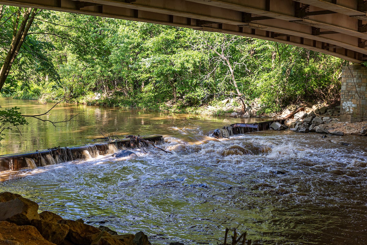 A shallow, brown creek or river runs over some rocks below an overpass. The banks are covered in trees and plants.