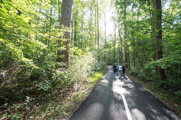Group of people walking on a paved trail through the woods.
