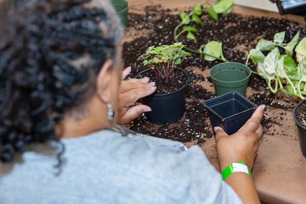 Woman planting a plant in a small pot
