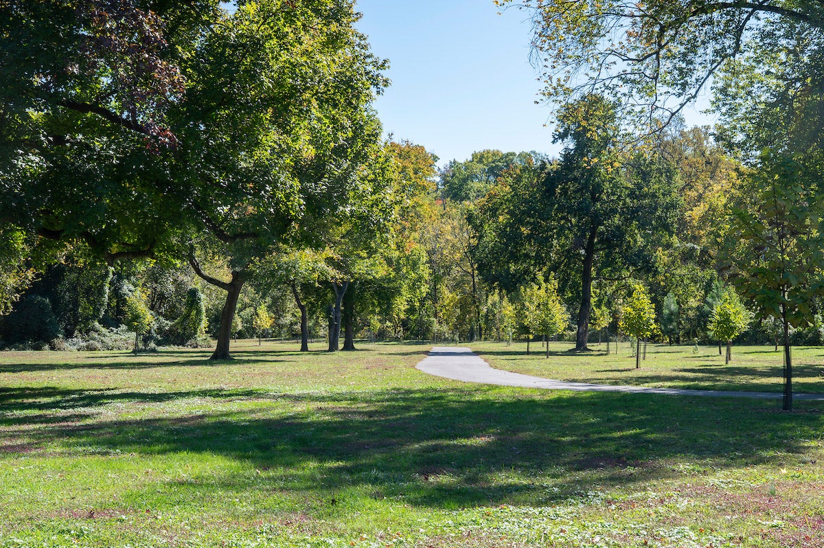 A paved path curves through a field dotted with trees.